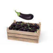 WS AUBERGINE - PER BOX (5KG)