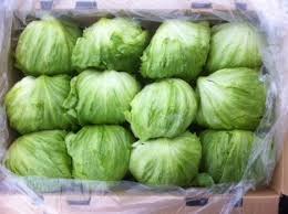 WS Iceberg lettuce - per box of 10