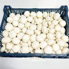 MUSHROOMS - PER 2.3KG BOX