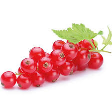 RED CURRANTS - PER PUNNET (RRP £2.99)