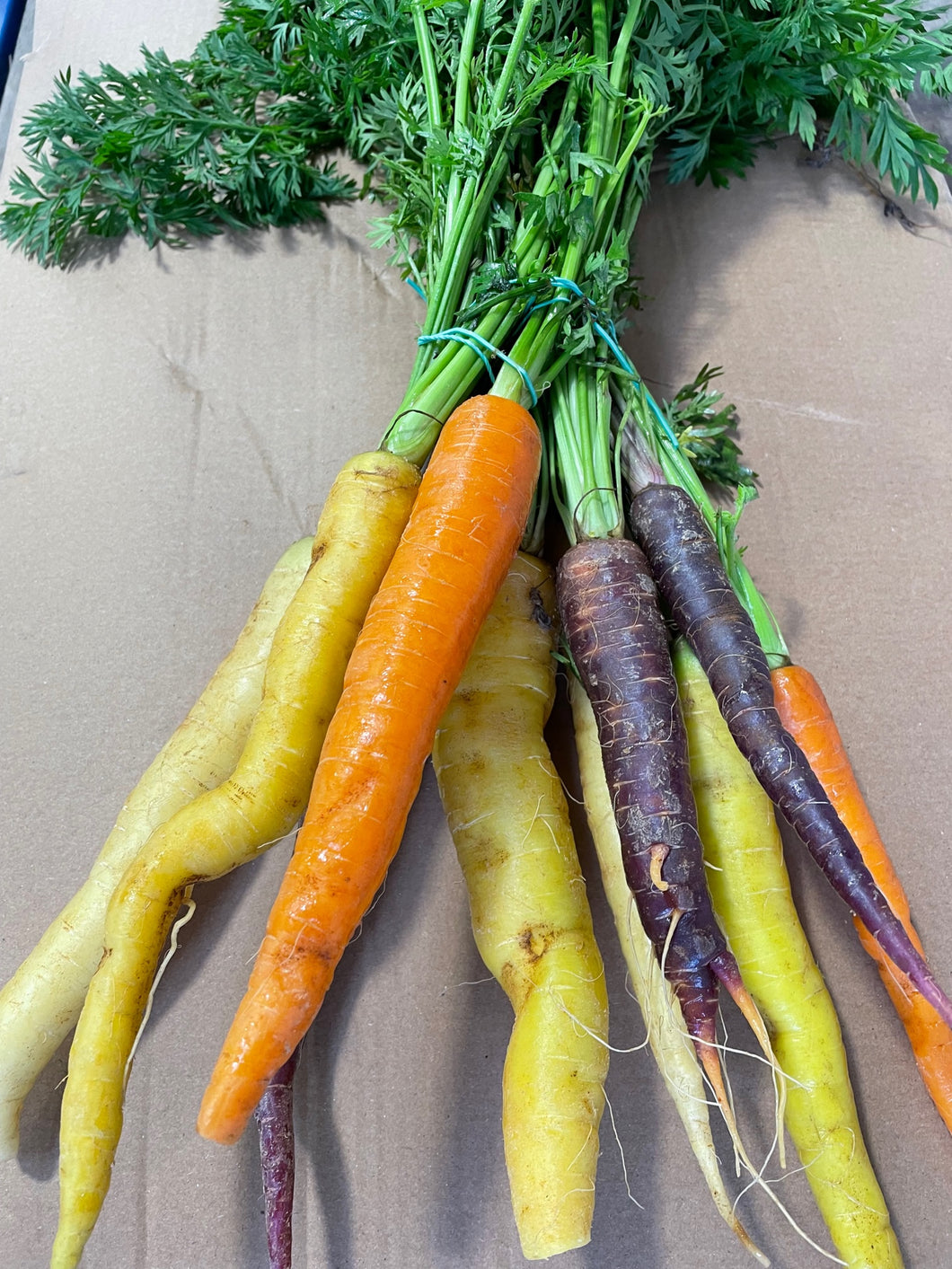 Carrots - Heritage mixed (RRP £1.79)