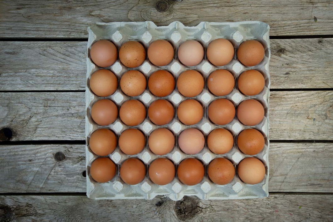 EGGS - TRAY OF 30 MEDIUM FREE RANGE