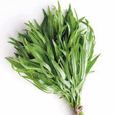 WS Tarragon 100g - fresh herbs