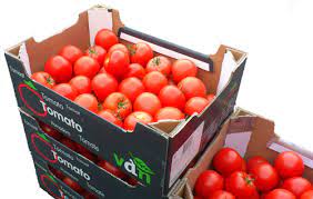 WS Tomatoes - per 6KG (MORROCO)