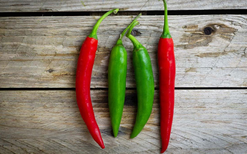 VEGETABLES - Chillies Mixed 50g (RRP £1.59)