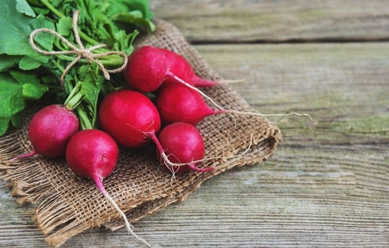 SALAD - Radishes (RRP £1.00)